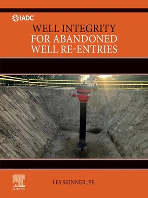 cover image of Well Integrity for Abandoned Well Re-entries